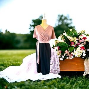 NWT Pink & Black Dress